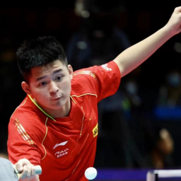 替代的核心 替代的核心