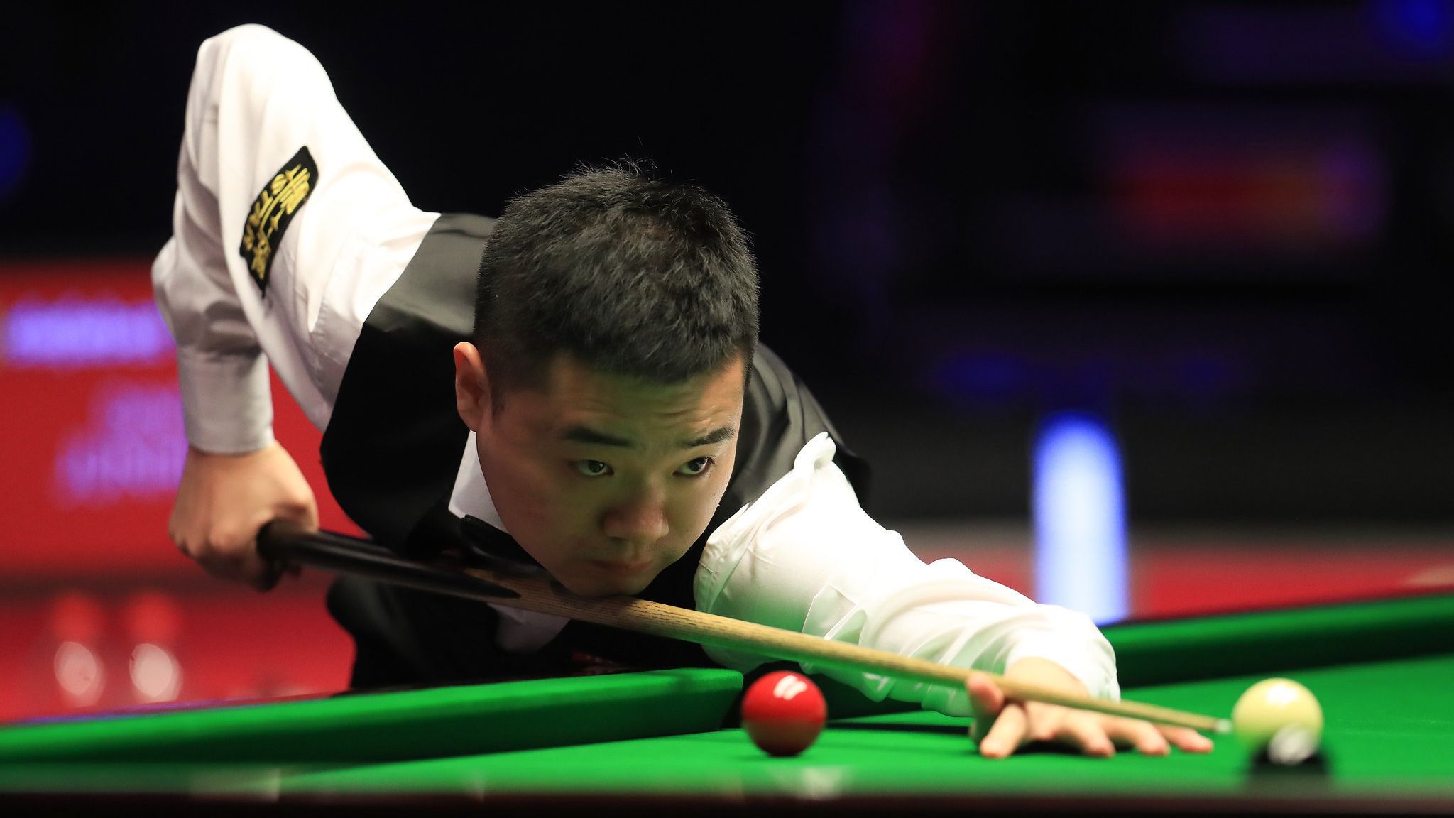 他的组织能 他的组织能