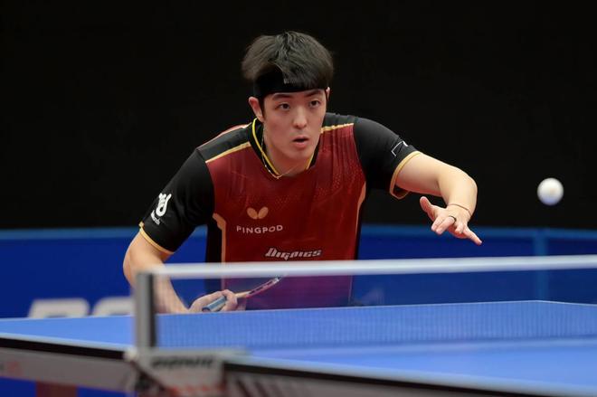 这番评价引 这番评价引